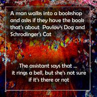Schrodinger's Cat